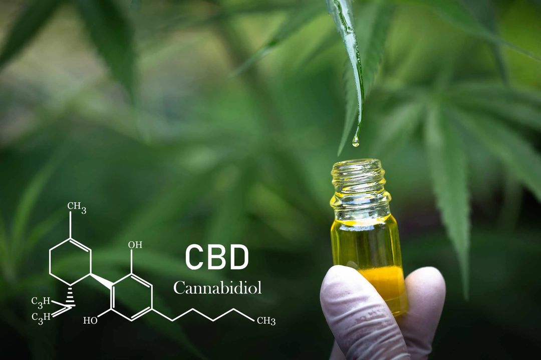 Dầu CBD ( Chiết xuất từ cây cần sa hoặc họ lanh) Và Dầu của cây dầu gai khác nhau như thế nào? Tại sao chúng lại có ứng dụng ngày càng phổ biến được xem như mỏ vàng của y học hiện đại ? Bs Mạnh Linh tóm lược.